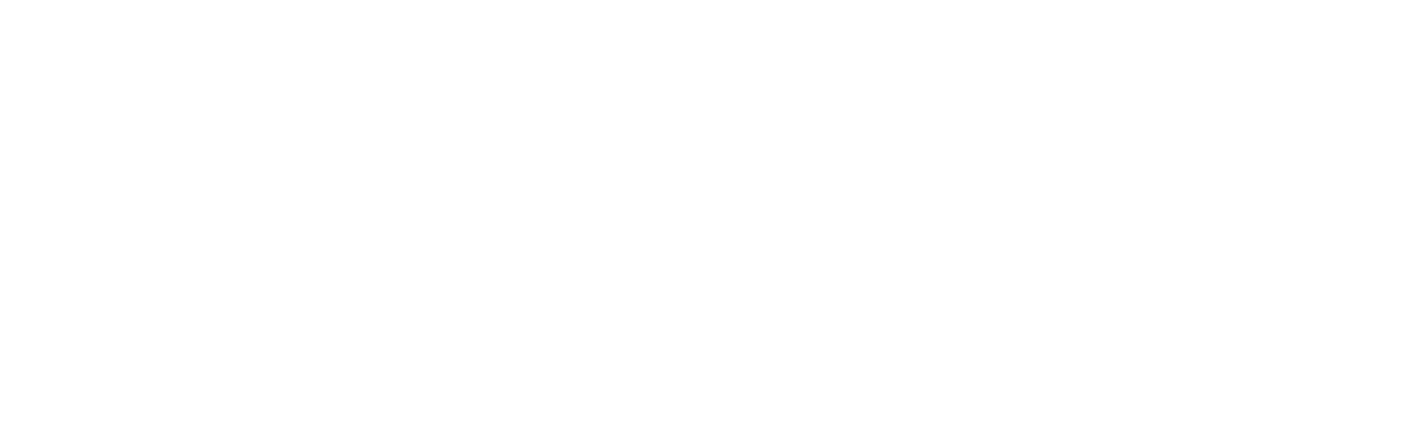 Air France logotype with italic stripe, redesigned in 2009 by Brandimage