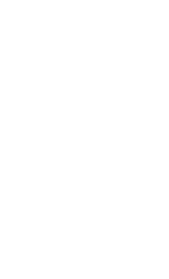 Ferrari logo with iconic prancing horse and bold text, designed by Enzo Ferrari in 1929