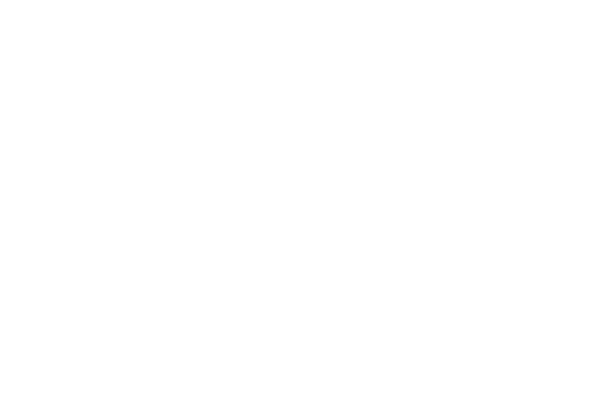 MrBeast logo featuring a stylized panther head with lightning bolt, designed in 2017 by Jimmy Donaldson
