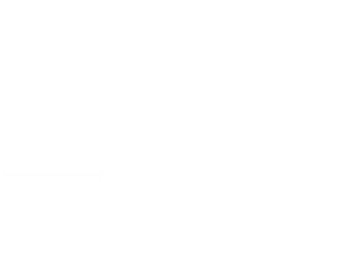 UFC Gym logo with italicized text and custom lines, introduced in 2009 by UFC